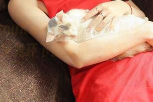 QingDouKe青豆客 – 朱小旭今天又在线了，天使光环下的美图，真是忍不住想赞！