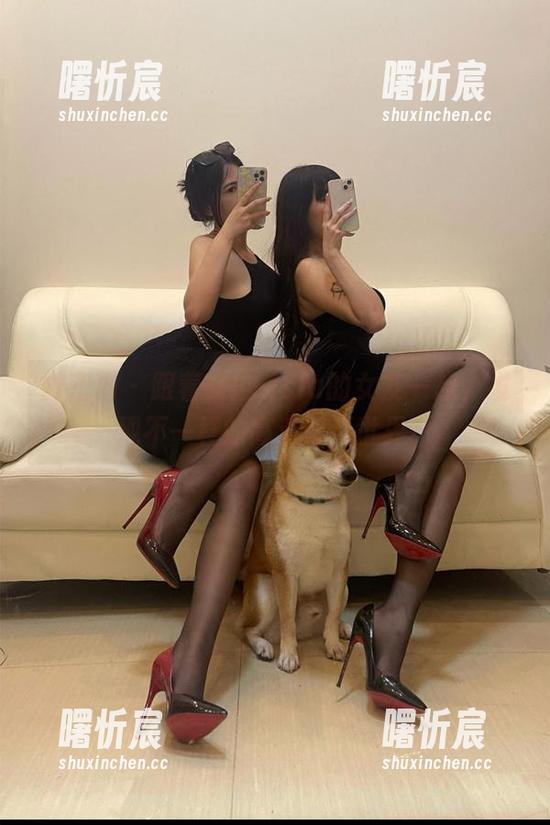 微密圈 - 跟着艾拉·isla的女友一起,发现不一样的高清壁纸世界! 微密圈 - 跟着艾拉·isla的女友一起,发现不一样的高清壁纸世界!